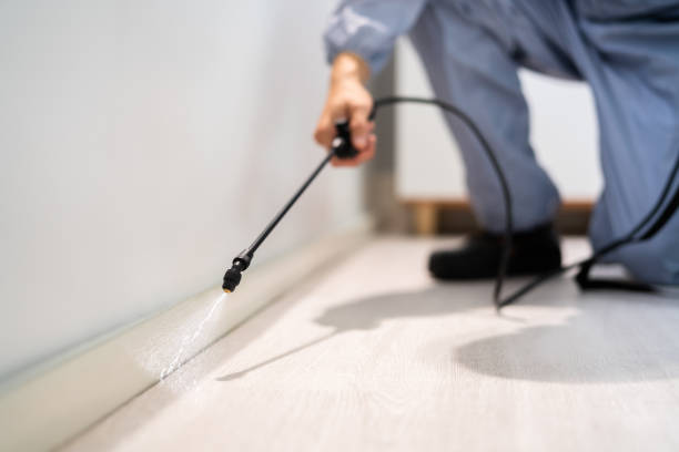Licensed Pest Control service in Jeffersonville, IN - Show Me Pest Control
