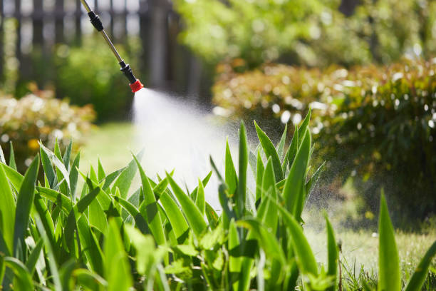 24/7 Emergency Wasp Removal experts in Jeffersonville, IN