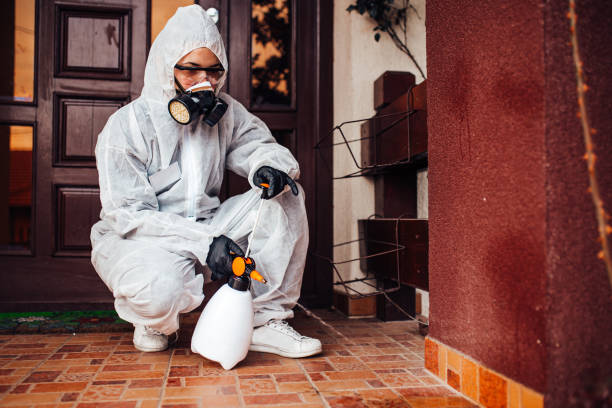 Reliable Wasp Removal contractor in Jeffersonville, IN by Show Me Pest Control